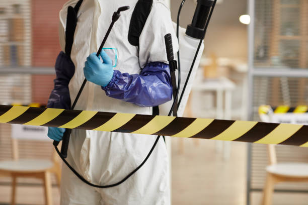 Professional Hoarding Cleanup technician working in Hudson, IA